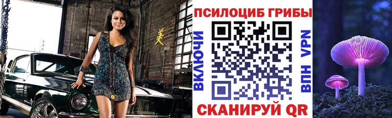 ОМГ ОМГ ССЫЛКА  Буйнакск  Псилоцибиновые грибы мицелий 