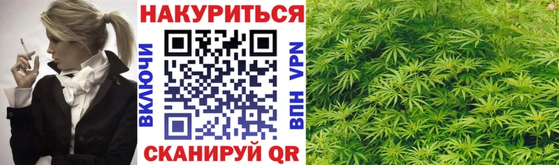 Шишки марихуана индика OMG зеркало Буйнакск